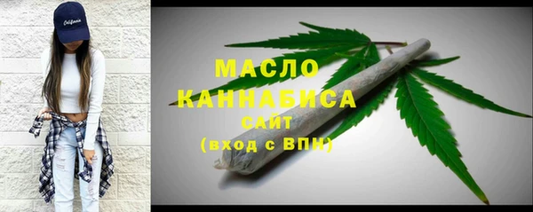 сатива Горняк