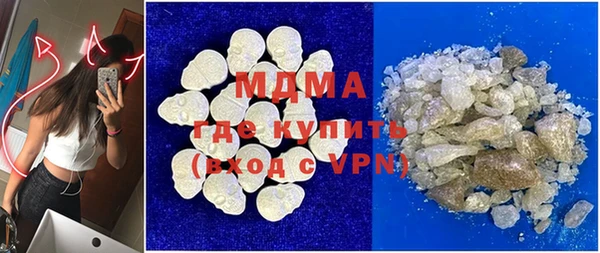 сатива Горняк